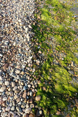 The tide line on a pebble beach in Jersey, Channel Islands