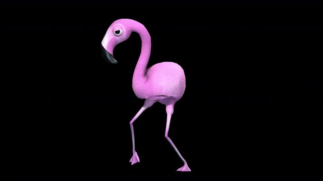 Seamless animation of cartoon flamingo dancing. Funny animal background isolated with alpha channel.