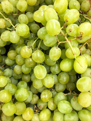 Fresh green grapes