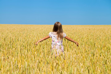 Little girl in a wheat golden field