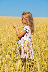 Little girl in a wheat golden field