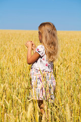 Little girl in a wheat golden field © Andrey_Arkusha