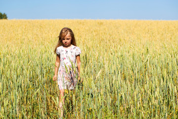 Little girl in a wheat golden field