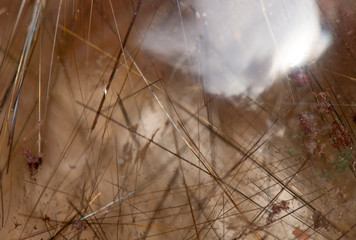 rutile  mineral specimen stone rock gem quartz crystal