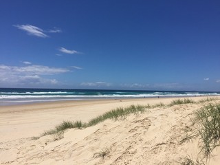 Fototapeta na wymiar Beach Grass Australia Sand