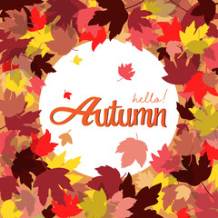 Vector Autumn background layout decorate with leaves for card,poster and frame leaflet or web banner.Vector illustration template.