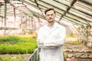 Portrait of male agricultural engineer in greenhouse