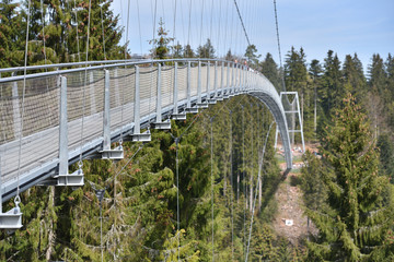 A long and narrow suspension iron bridge for pedestrian tourists in the coniferous European forest.