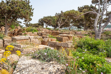 Ancient Roman ruins in Tipasa (Tipaza)