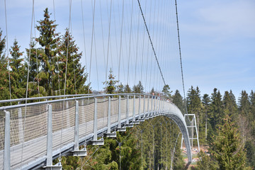 A long and narrow suspension iron bridge for pedestrian tourists in the coniferous European forest.