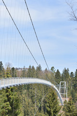 A long and narrow suspension iron bridge for pedestrian tourists in the coniferous European forest.