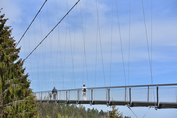 Obraz premium Tourists walk along a long and suspended iron cable bridge for pedestrians in the coniferous European forest.