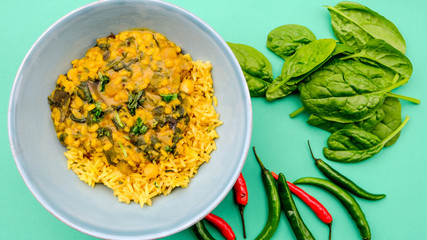 Indian Lentil and Spinach Curry With Rice