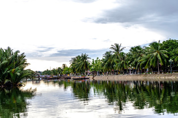 Fototapeta na wymiar landscape with palm trees and lake