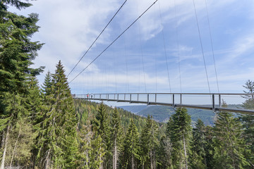 Obraz premium Beautiful landscape with a hanging iron bridge over a coniferous forest in Germany, Schwarzwald