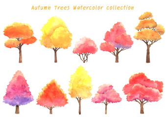 Autumn trees watercolor hand painting collection.