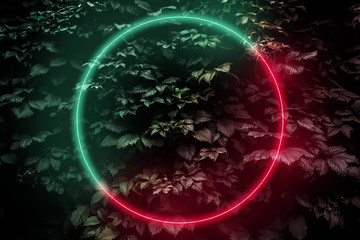 Abstract neon glow frame sign in the shape of a circle, Futuristic sci-fi background with bright red-green lights, retro style