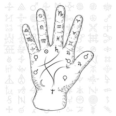Obraz premium Fortune teller hand with Palmistry diagram hand drawn design. Vintage illustration for tattoo template. Palm reading magic spirituality zodiac constellations on sacred symbols background. Vector.
