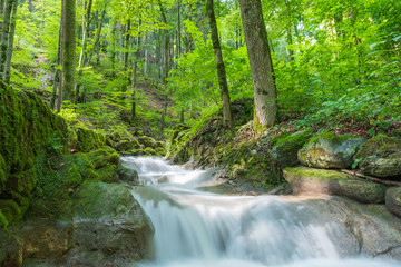 Obraz premium Fluss im Wald