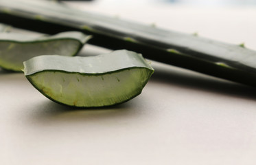 Aloe Vera Leaf Slices