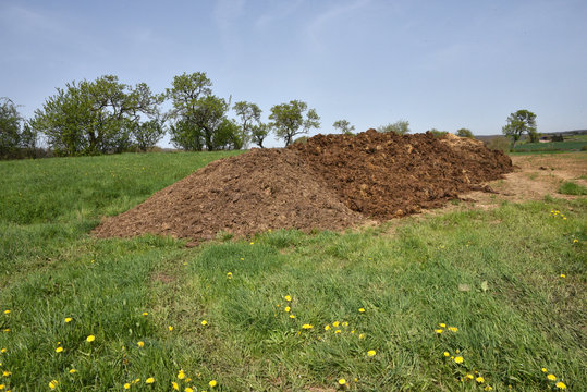 Tas de fumier de bovin 