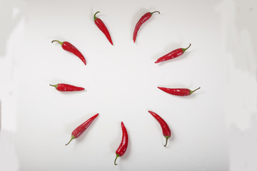Red hot chili peppers arranged in a circle on a white background. Copy spaes.