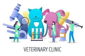 Veterinary clinic services vector concept for web banner, website page