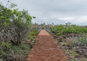 Fototapeta premium Las Grietas Galapagos