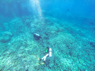Underwater background of ocean and free space for your decoration. 