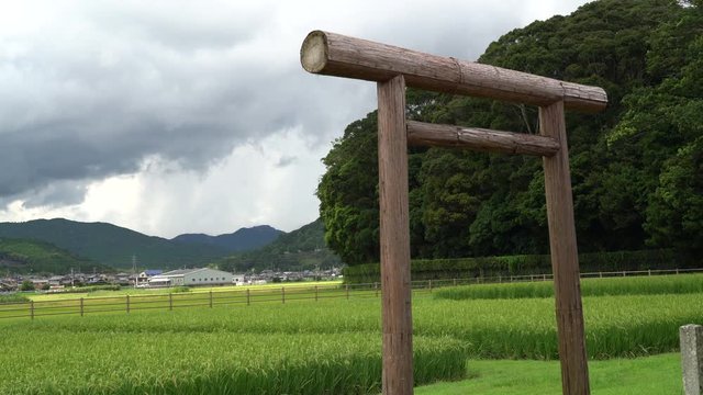 The shrines in Japan