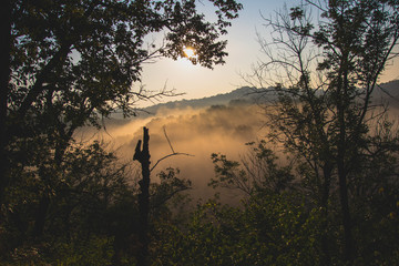 Fototapeta na wymiar foggy morning in the hills