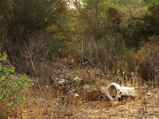 Fototapeta premium in Natur entsorgter Schutt mit altem WC an Mallorcas Ostküste in einer Cala bei Porto Colom 