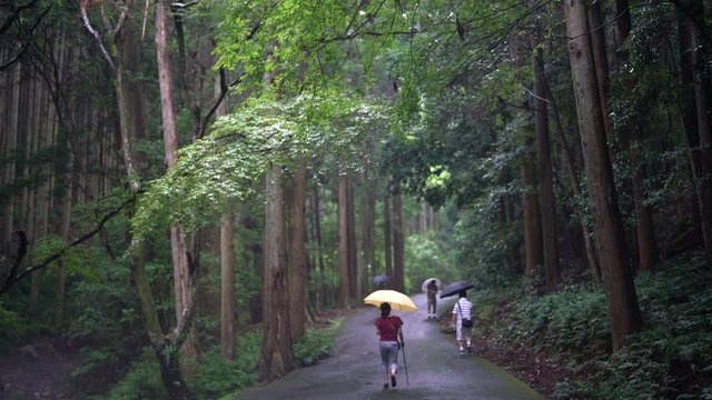 The shrines in Japan