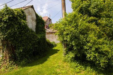 Spring rural landscape with green grass and blue sky