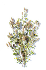 A bouquet of summer flowers and herbs on a white background in bright light. Isolated summer...