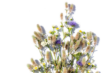 A bouquet of summer flowers and herbs on a white background in bright light. Isolated summer...
