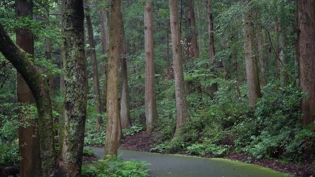 The shrines in Japan