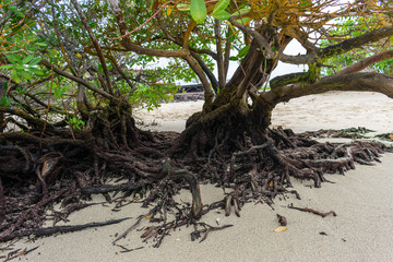 Las Grietas Galapagos
