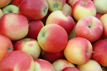 Fototapeta na wymiar background of ripe red apples
