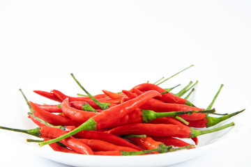 red chilli pepper an isolated on white background