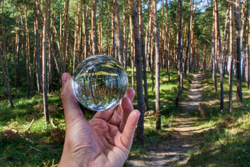 szklana kula w lesie, ręka