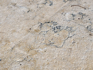 marble texture of the old wall
