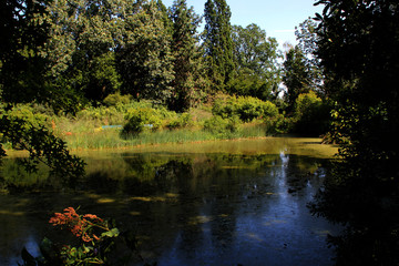 Ein Weiher in Herrenhausen