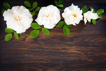 White roses on brown wooden background.Copy space