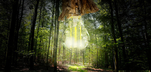 Naturstrom Glühbirne Energie aus regenerierbaren Ressourcen im Wald Umwelt. 