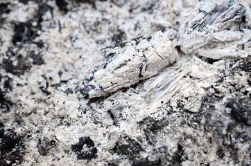 Pile of ashes after the fire went out grunge background texture