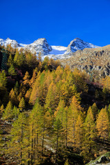 paesaggio autunnale in valle dell'Orco, nel Parco Nazionale del Gran Paradiso