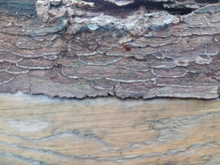 old wooden background