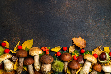 Fototapeta na wymiar Autumnal background. Mushrooms Boletus, chestnuts, wild berries, rowan on brown table. Autumn composition. Fall season mood, top view, copy space