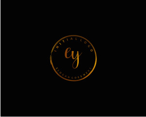EY Initial letter logo template vector	